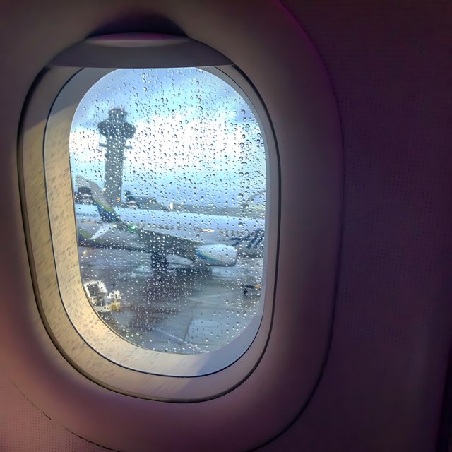 Raindrops on an Airplane Window
