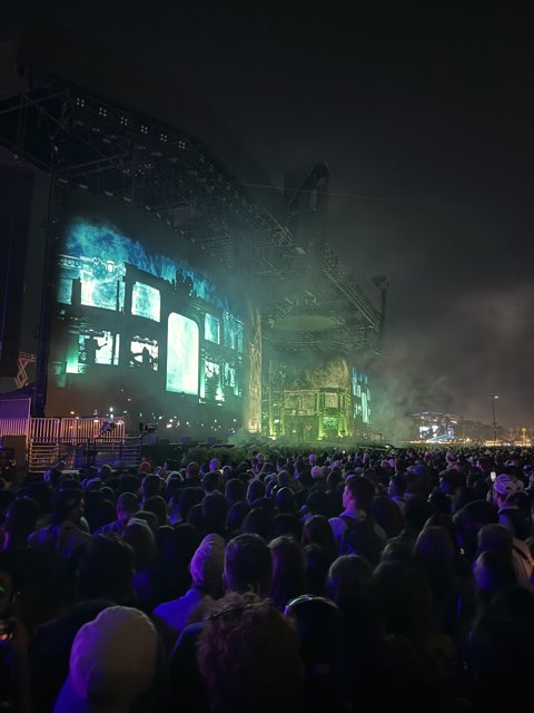 Night of Echoing Beats