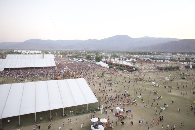 Swept Up in the 2012 Coachella Concert Craze