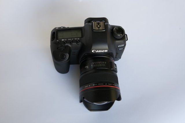 Canon EOS R5 with EF-S 18-55mm IS STM