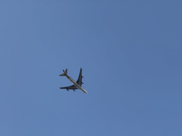 Skyward Bound Over Los Angeles