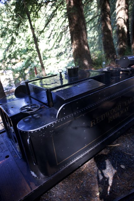 Journey Through the Giants: The Redwood Valley Railway