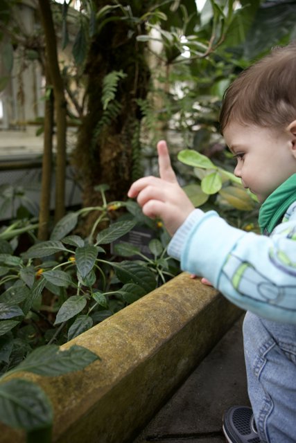 Touch of Nature: Exploration in the Gardens
