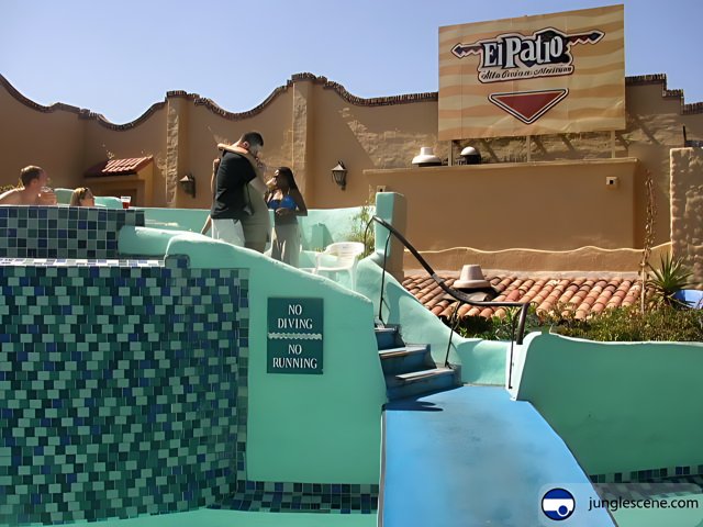 The Thrill of the Oasis Water Slide