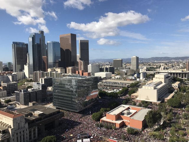A Bird's Eye View of LA's Metropolis