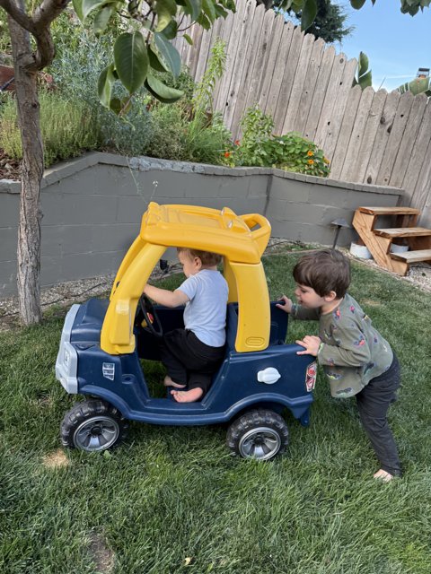 Backyard Adventures
