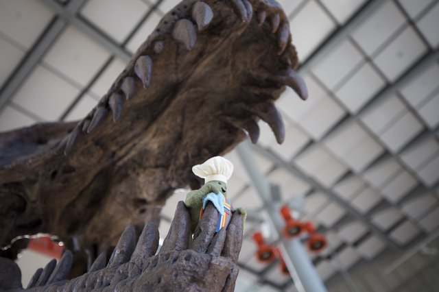 Tiny Chef Meets Dinosaur: An Unexpected Encounter