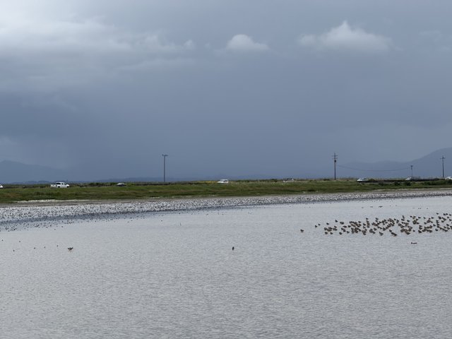 Tranquil Waters of San Pablo Bay