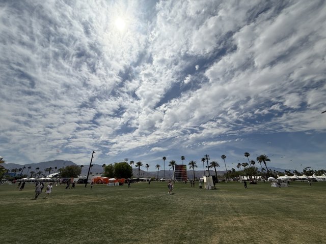 Desert Skies and Palm Trees
