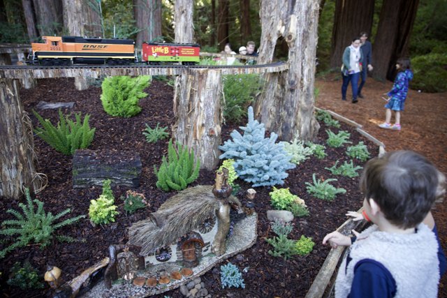 Enchanted Forest Discovery at Thistlewyck
