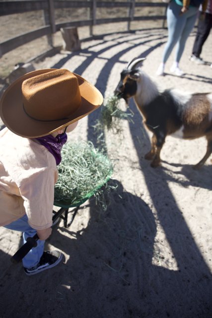 Cowboy Adventures at Carmel Valley Ranch