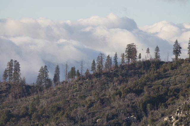 Mountain Ridge Through Smoke and Clouds Above Yosemite