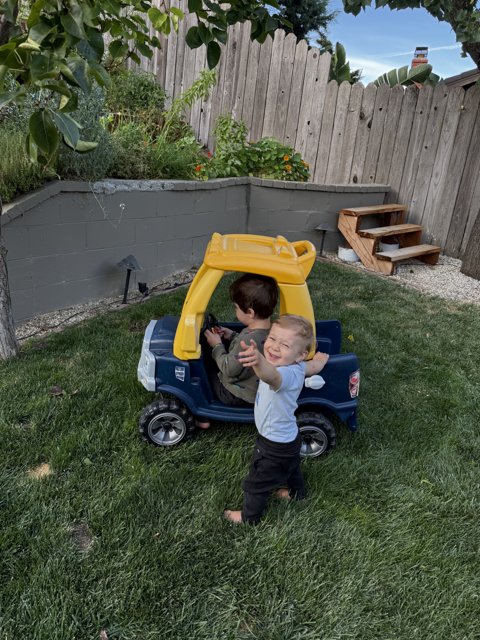 Backyard Adventures