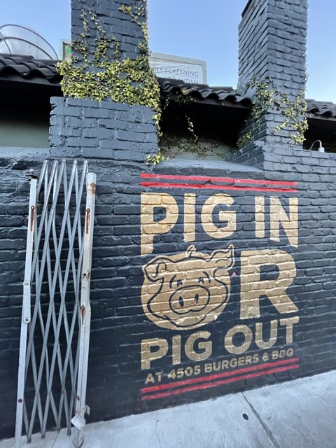 Pig in RR Out