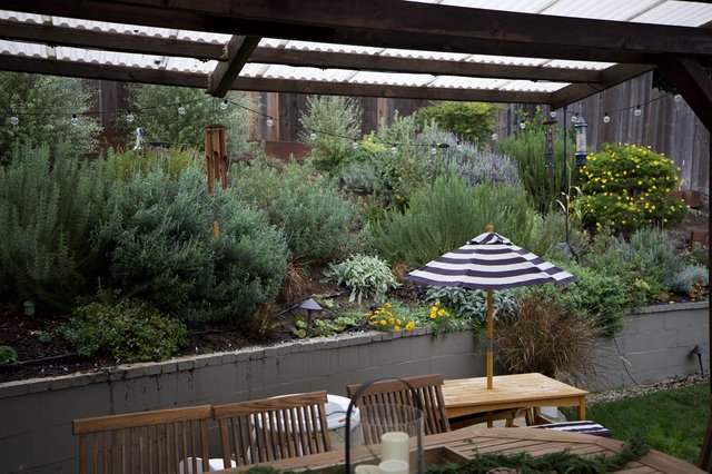 Cozy Backyard Garden Patio with Lush Plantings