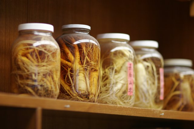 Assorted Roots on a Wooden Shelf