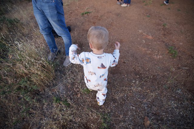 Toddler Explores Dusty Trail at Mount Diablo
