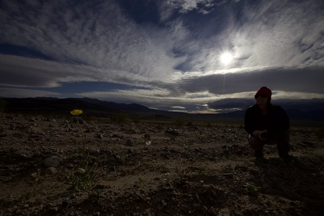 Lone Desert Bloom Amid Vast Desolate Wilderness