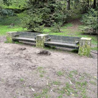 Solitude in the Park