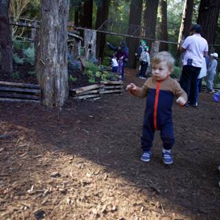 Exploring the Enchanted Grove