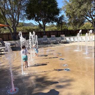 Fountain Frolic in Carmel