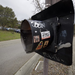 Graffiti-Tagged Mailbox Along Suburban Pathway