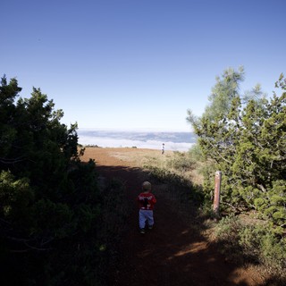 Young Hiker Explores Trail Above the Clouds