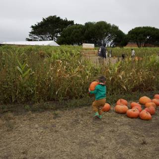 Enchantment of the Harvest