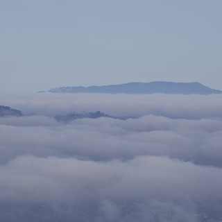 serene-ethereal-contemplative