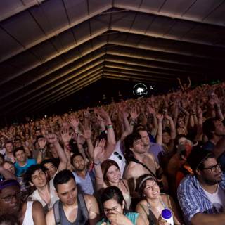 Electrified Crowd at Coachella 2012