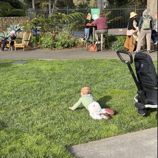 Afternoon at the Botanical Garden