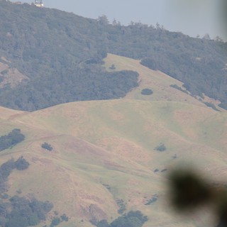 natural landscape