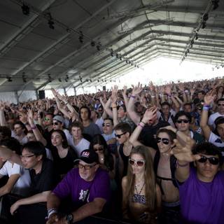 Partygoers unite at Coachella 2010