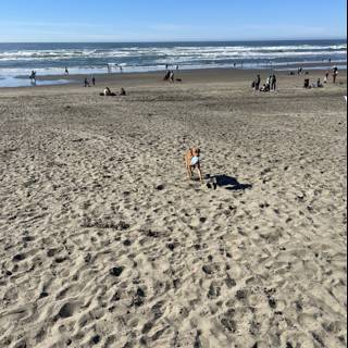 Running Free on Ocean Beach
