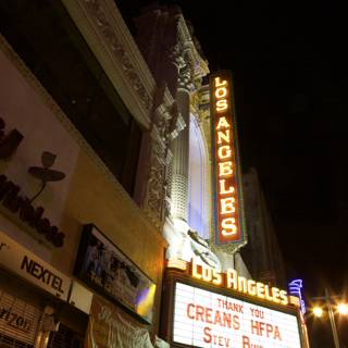 Cinema in the Metropolis