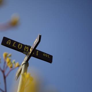 Blossoming Street Sign
