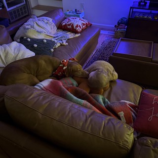 Cozy Pillow Fort Setup in Purple-Lit Living Room