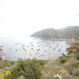 Harbor View in Catalina Island