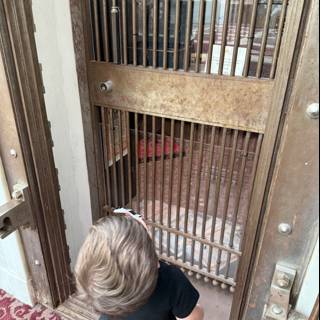 Curious Encounters at City Hall