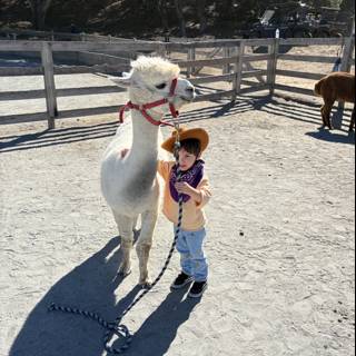 Little Wrangler's Day Out