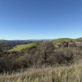 Serene Skies Over Lime Ridge