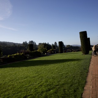 English countryside estate garden or similar formal garden in temperate climate
