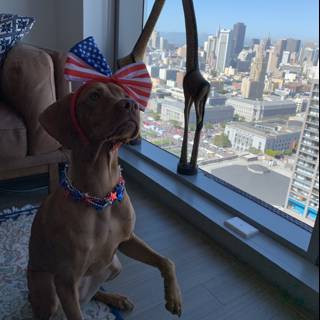 Patriotic Pup on the Couch