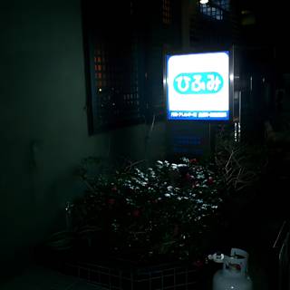 Illuminated Advertising Sign at Tokyo Metropolis Government Office