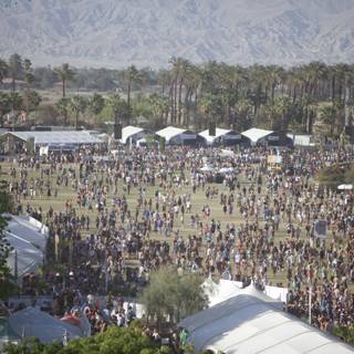 Coachella 2014 Draws a Massive Crowd