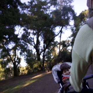 Tranquil Stroll Through Thistlewyck Grove