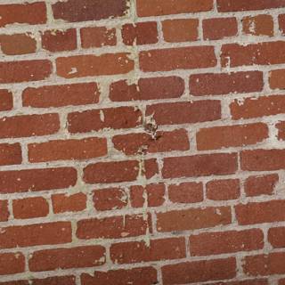 Brick Wall With a Peek-a-Boo Hole