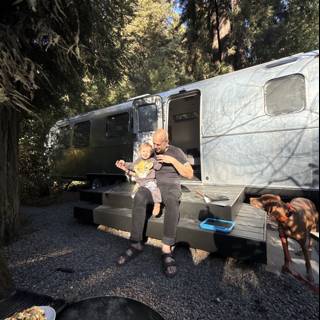 Sunlit Moments in the Redwoods