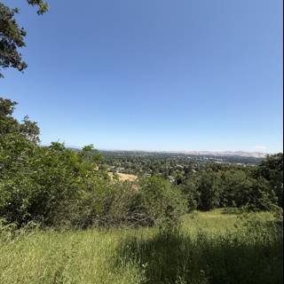 Tranquility in Walnut Creek