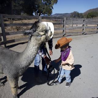 Little Cowboy's Adventure
